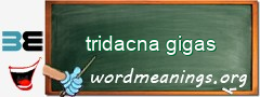 WordMeaning blackboard for tridacna gigas